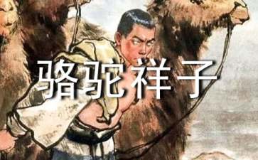 讀駱駝祥子有感(精選15篇)