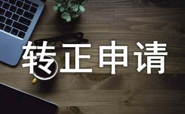 轉(zhuǎn)正申請(qǐng)個(gè)人自我鑒定7篇